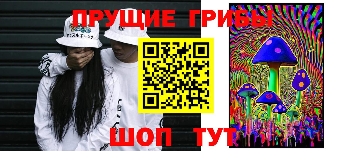 Псилоцибиновые грибы Psilocybe Гуково