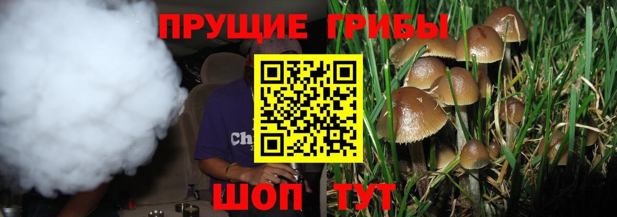 Гуково  Галлюциногенные грибы Psilocybine cubensis  Вход с VPN  Галлюциногенные грибы мухоморы 